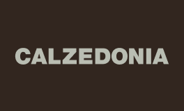 calzedonia